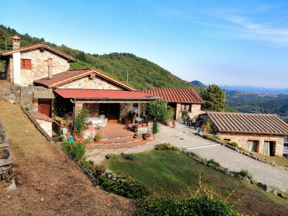 Villa Armonia Borgo a Mozzano Ngoại thất bức ảnh