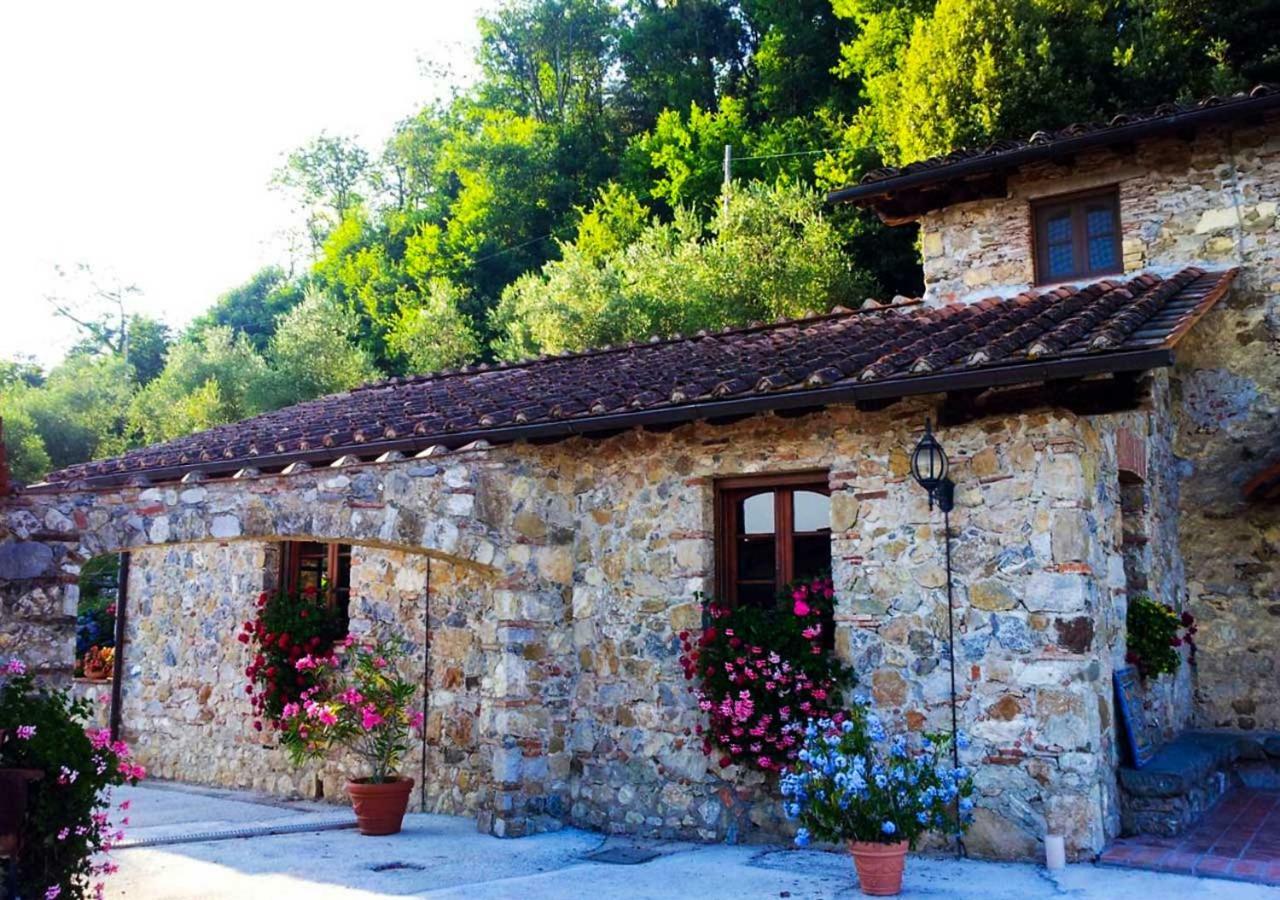 Villa Armonia Borgo a Mozzano Ngoại thất bức ảnh