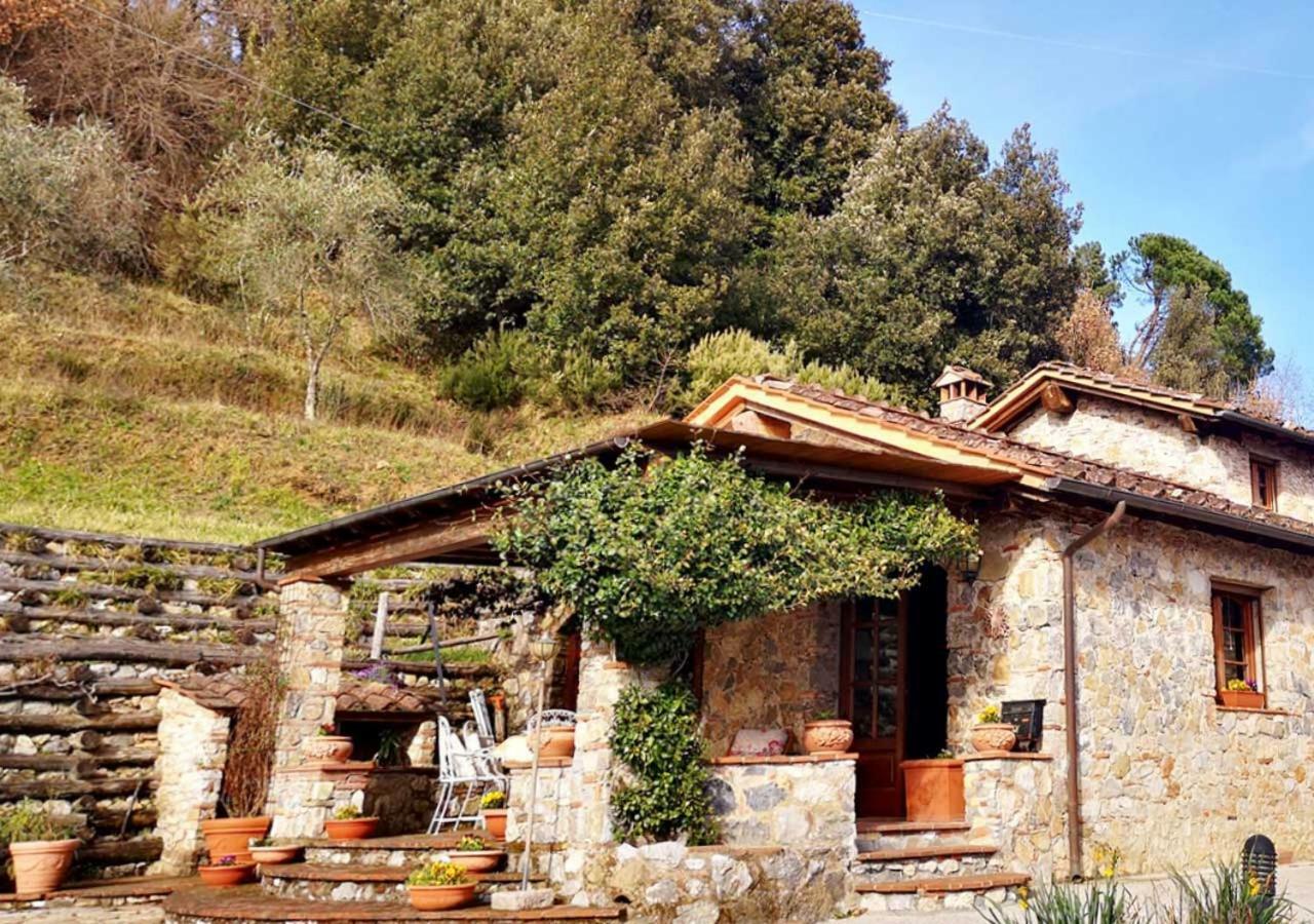 Villa Armonia Borgo a Mozzano Ngoại thất bức ảnh